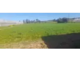 GELİNCİK KÖYÜ - SAHİBİNDEN SATILIK ARSA